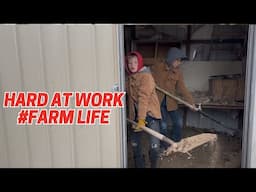 Chicken Coop Clean Up & Even Some Farm Wisdom