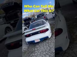 What a Rare Bird! #barnfind #what #is #it #question #of #the #day #car #fbody #rare #breed #love #em