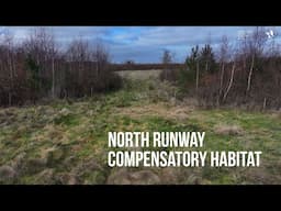 North Runway Compensatory Habitat