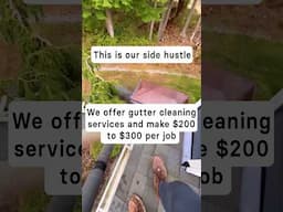 $300 vs $3,000 Side Hustle (Make Money Online 2025)