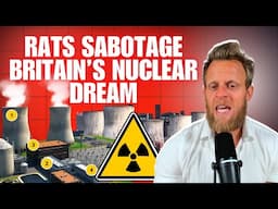 Rats Overrun $49B Nuclear Plant: Hinkley Point C’s Shocking Crisis!