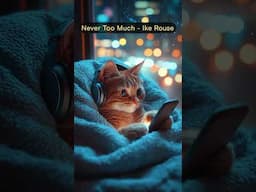 Lo-Fi Cat at Night | Cozy Rain Vibes | YouTube Shorts USA