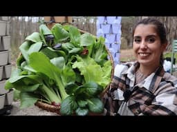 Homegrown Greens 🥬 First GreenStalk Harvest | Spring 2025
