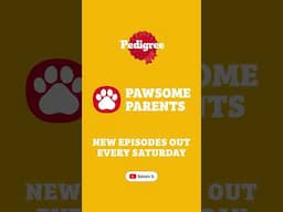 STAY TUNED!! new episode every sunday!!