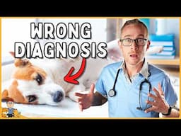 This diagnosis is WRONG in 50% of dogs (vet exposes why)