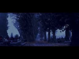 NOBLE GAMES - Book Trailer for my new novel
