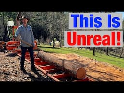 Phase 1: Make Lumber - Phase 3: Profit