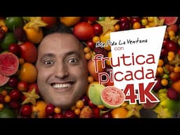 ME PIDO LA VENTANA CON FRUTICA PICADA EN 4K | Andrés López