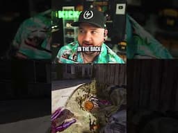 The NEW Warzone Sniper is INSANE 👀