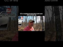 Watch for dead branches above your rig!🌲🚐Use link: https://bit.ly/3BvacMy for 25% off trip wizard!