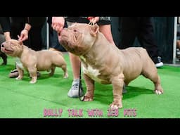 RUMBLE IN THE JUNGLE 6.0 RECAP from BULLY TALK WITH ZEB PITS