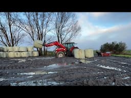 3 Silage A Day with More Rain