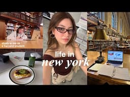 Living Alone in NYC | study with me, harvard student, productive days