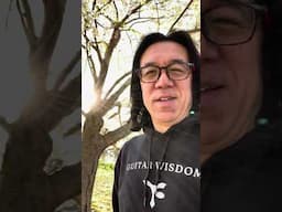 Don't expect too fast!#dontworry #dontcompare #bekindtoyourself #tomofujita #guitar #wisdomwords