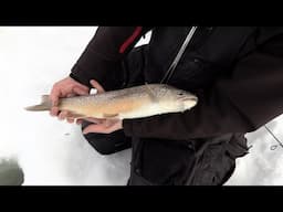Catching Tiger Trout Ice Fishing In Eastern Utah