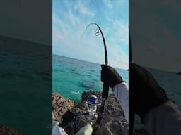 🔥 Master the Art of Summoning & Catching MONSTER Fish!