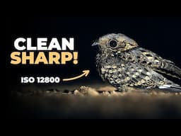 Your High ISO Photos Will NEVER Be Noisy Again!