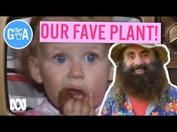 Chocolate: The Sweetest Plant | Discovery | Gardening Australia