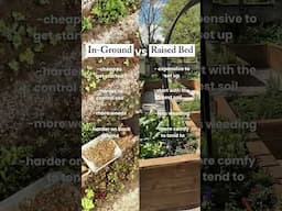 No matter the setup, you should have a garden, which one do you pick?🥬#garden #plants #organic