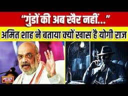 'अब UP में गुंडों को वीआईपी ट्रीटमेंट नहीं...', Yogi सरकार की तारीफ में सुनिए क्या बोले Amit Shah ?