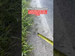 ￼Family Had To Pick Up Pieces of Their Daughter From the Road…