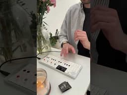 DnB 🤝 Glitch #drumandbass #jungle #op1 #electronicmusic