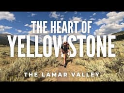 Hiking 40 Miles ALONE in Yellowstone National Park |  Backpacking the Lamar Valley
