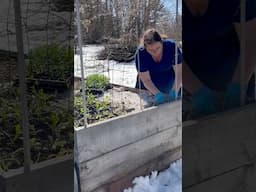 Cozy Seed Starting Chat Week 5: Planting in the Snow #zone3garden