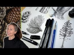 How to Draw Pine Cones and Trees | Studies in Pen and Ink