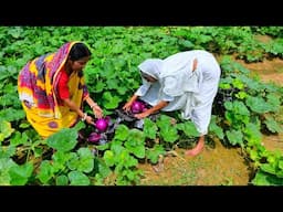 এই গরমে মায়ের হাতের কুমড়ো শাক রান্না সঙ্গে বাগানের তাজা বাঁধাকপি তুলে রান্না | Kumro shak recipe