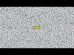 Snake.io 100,000+ Score Epic Snake io Best Gameplay Ever!