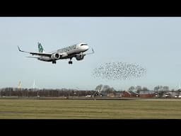 A321 Landing Goes Wrong