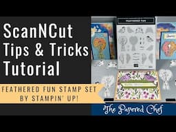 Brother ScanNCut Tips & Tricks - Cutting Stamped Images - Direct Cut - Feathered Fun by Stampin’ Up!