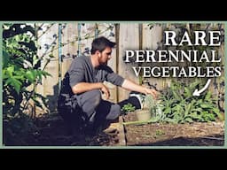 Hot Bed Abundance, Perennial Polycultures & Eating Cardoons  | The Kitchen Garden Ep2