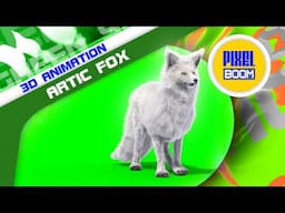 Green Screen Arctic Fox Animals 3D Animations PixelBoom