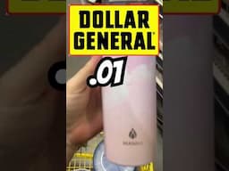 Dollar General surprise penny items 👀🤫 #dollargeneralpennyshopping