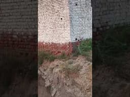 Criminal offences with bad intention, creating demage to Gaushala