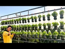 No One Believed I Grew Vegetables This Way – Until They Saw the Results!