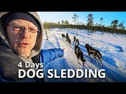 Dog Sledding Adventure & Epic Northern Lights | Guests Were Speechless