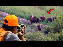 WILD BOAR INVASION: Massive Herds, Perfect Shots & Incredible Hunting Action!