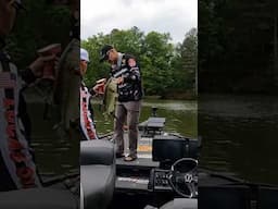 Big #bass from #chickamauga    I needed a few more like this to get a check. 😏 #bassfishing