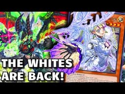 AZAMINA WHITE FOREST - Ten Minute Testing