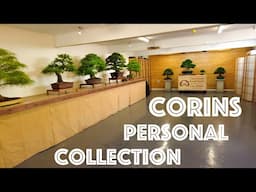 Bonsai Bash 2025 | Corin's Exhibition - Greenwood Bonsai