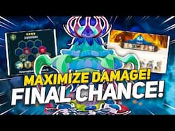 Tips and Tricks to Max Your Primal Lord Damage w/ Updated Best Teams!!!【AFK Journey】