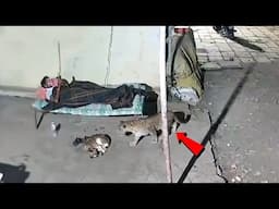 आदमी फोन चलाने में बिजी था तभी खुखार तेंदुआ आ गया और फिर जो हुआ 😯ll Animal funniest moment