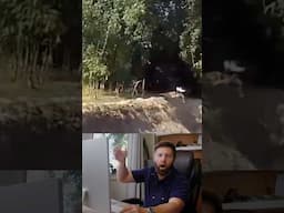 Tiger Chases Man off Cliff