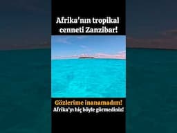 GÖZLERİME İNANAMADIM! AFRİKA'YI HİÇ BÖYLE GÖRMEDİNİZ! TROPİKAL CENNET ZANZİBAR!
