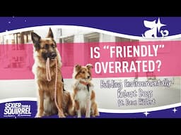 Is “Friendly” Overrated? Building Environmentally Robust Dogs ft. Dave Hibbert