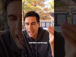 One-Liners | Ryan Holiday