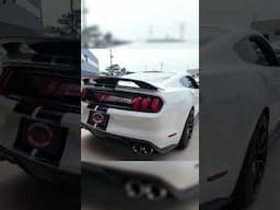 Check out our New Arrival! 2019 Ford Mustang GT350!!
